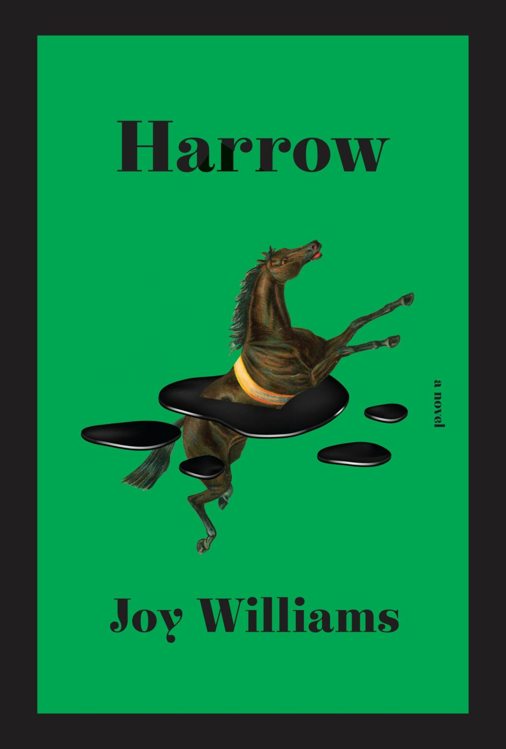 Harrow - Joy Williams
