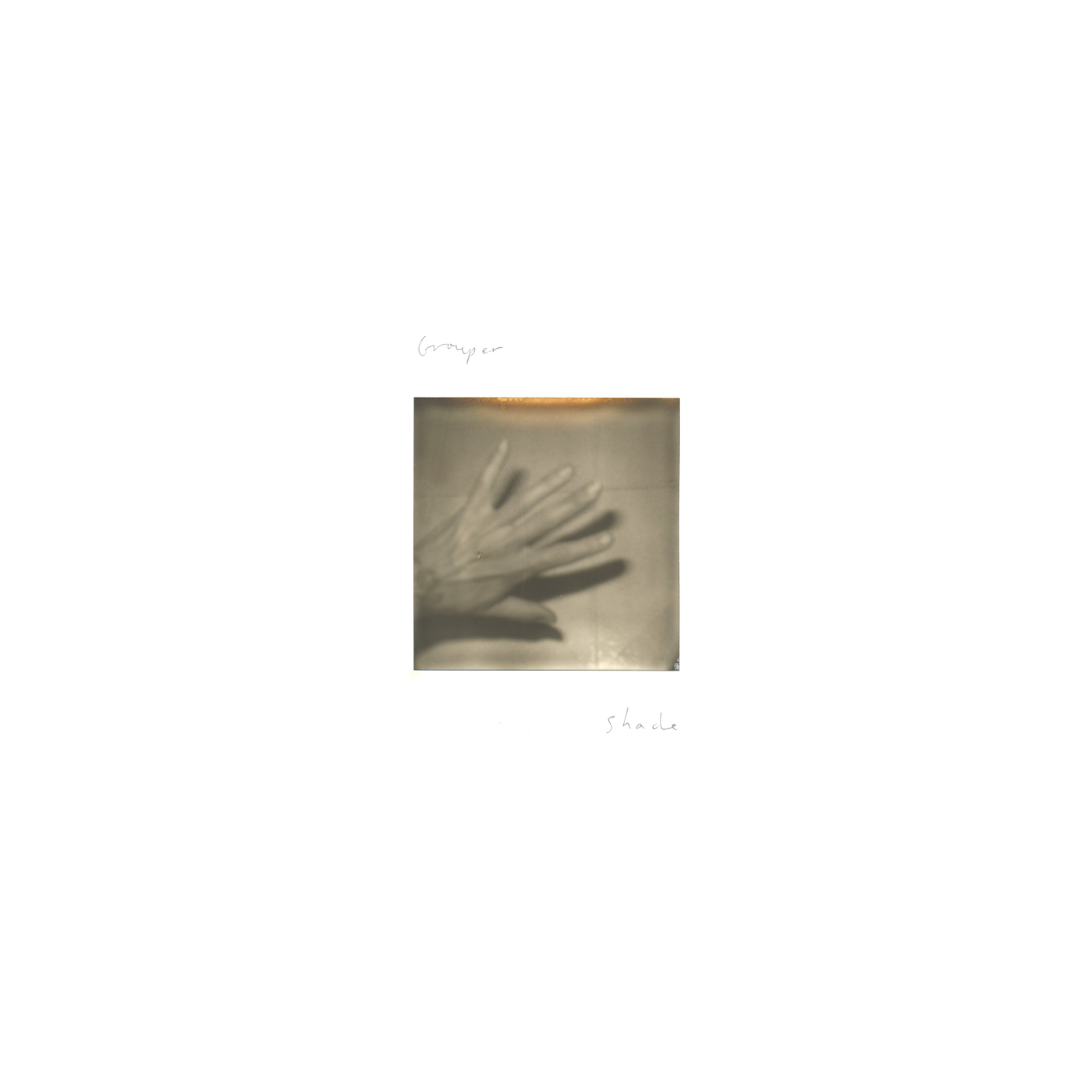 Shade - Grouper