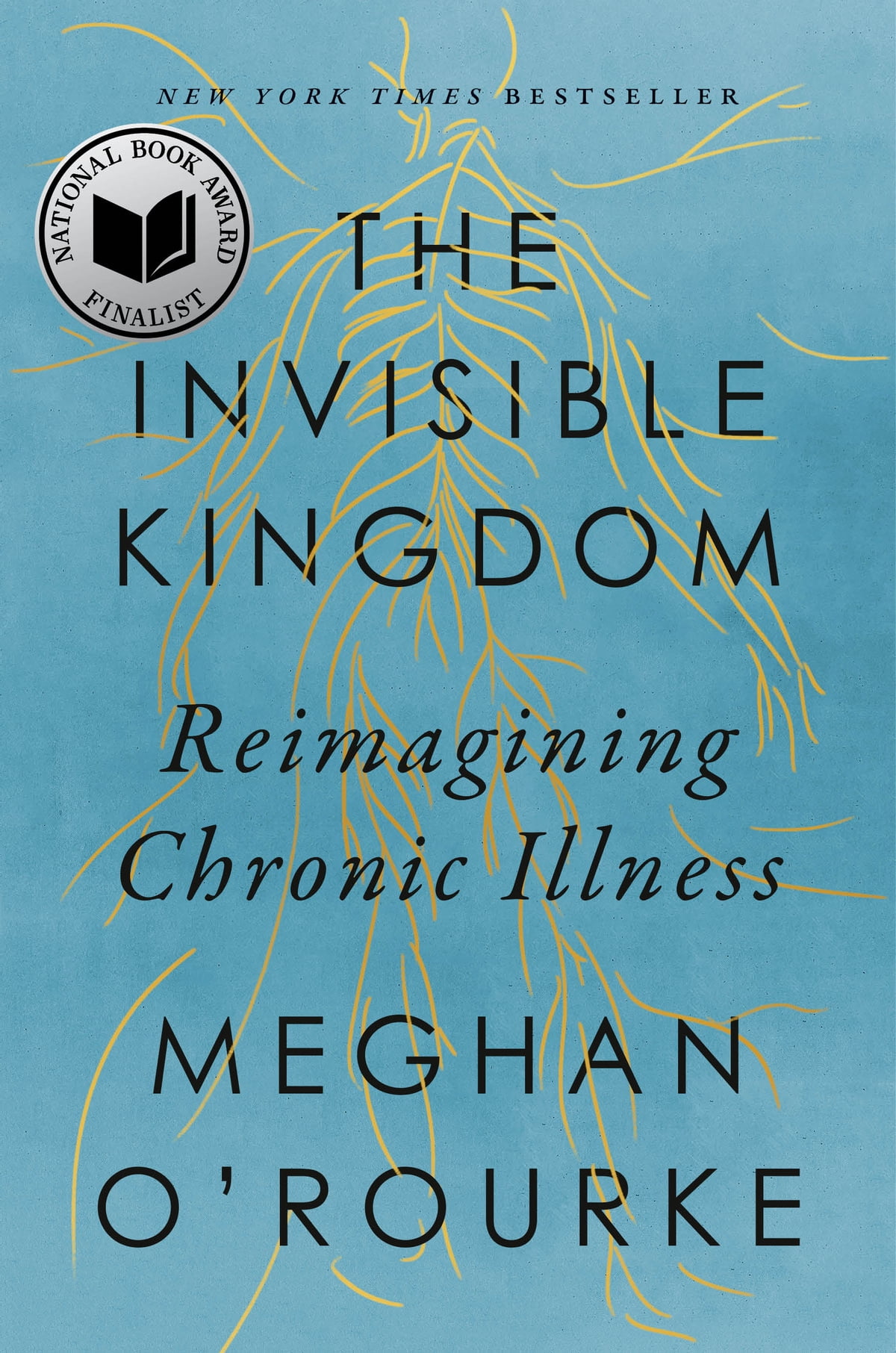 The Invisible Kingdom - Meghan O’Rourke