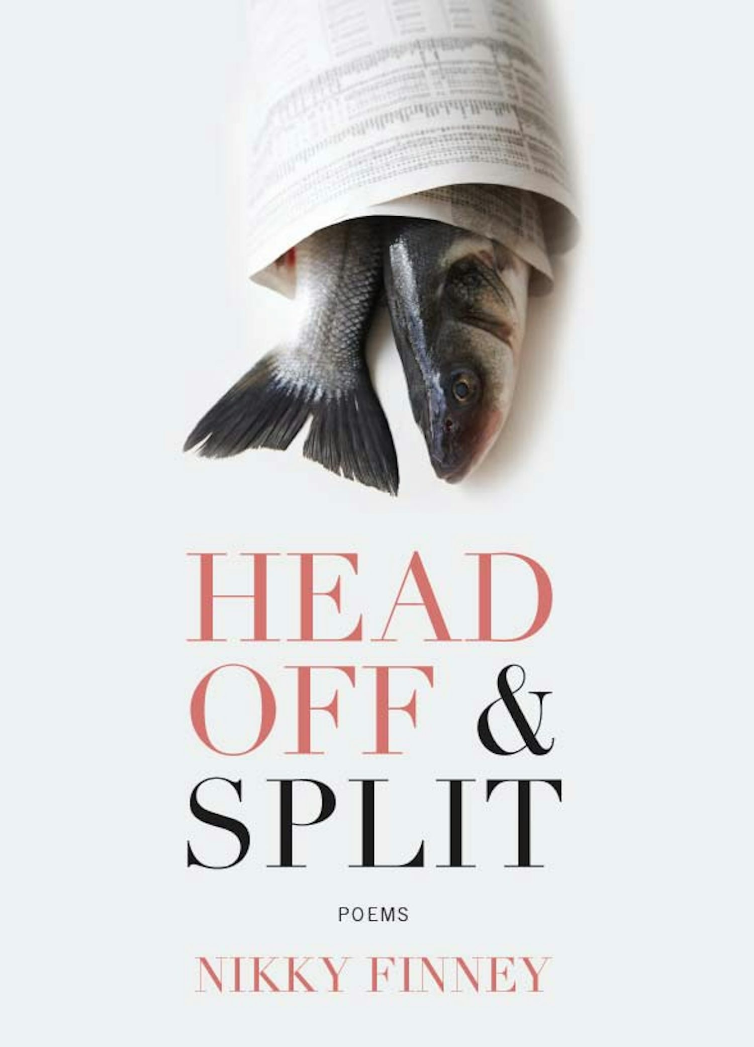 Head Off & Split - Nikky Finney