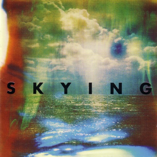 Skying - The Horrors