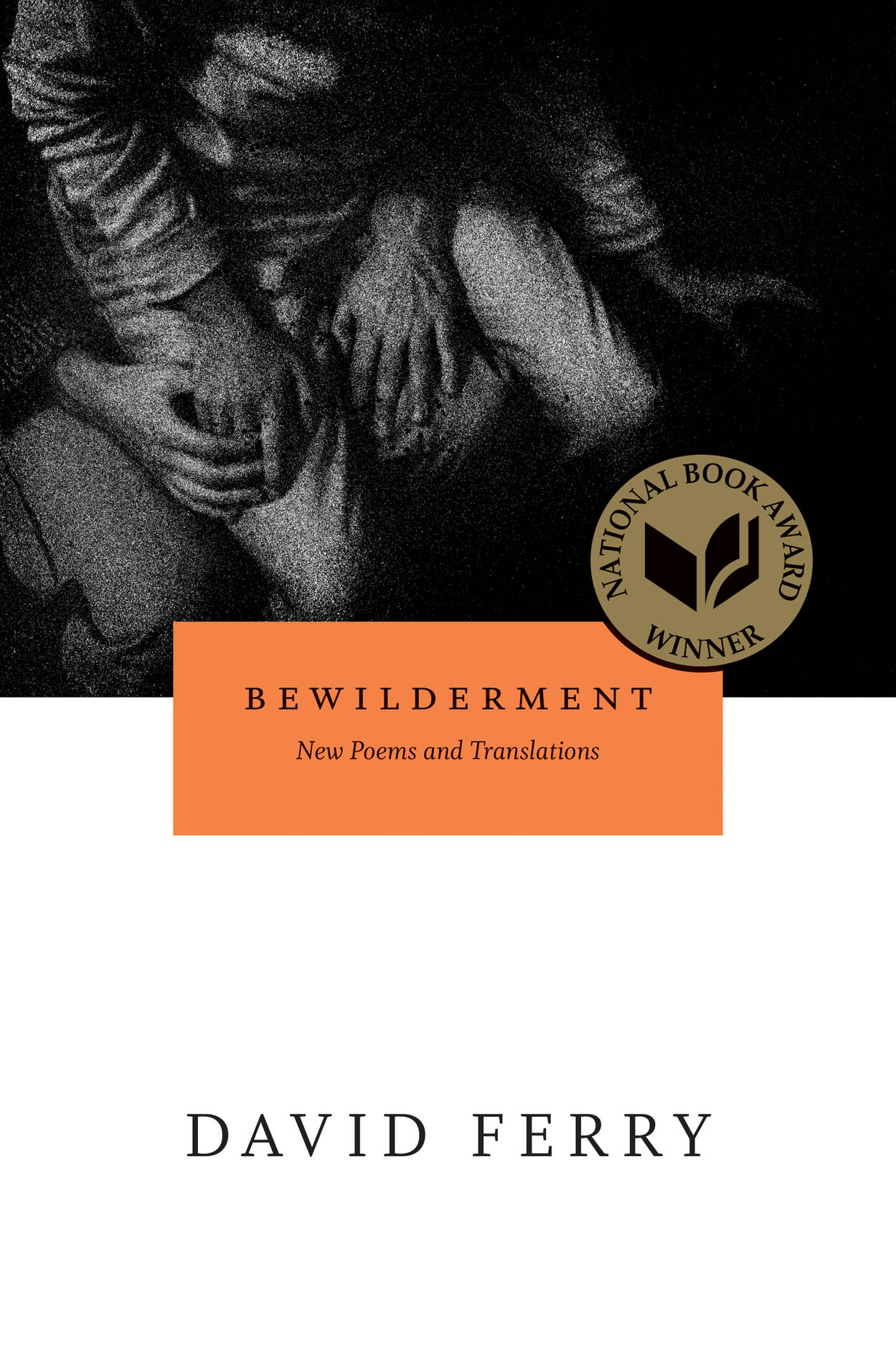 Bewilderment - David Ferry
