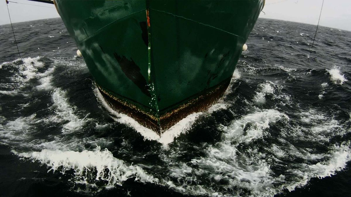 Leviathan - Lucien Castaing-Taylor and Véréna Paravel