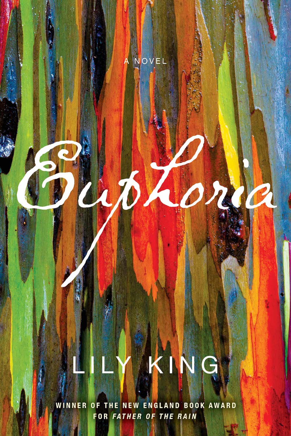 Euphoria - Lily King