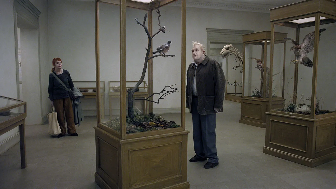 A Pigeon Sat on a Branch Reflecting on Existence - Roy Andersson