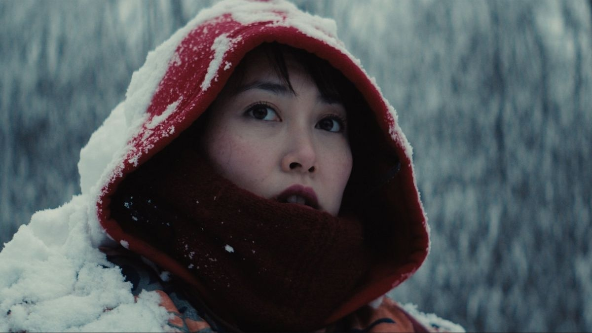 Kumiko, the Treasure Hunter - David Zellner