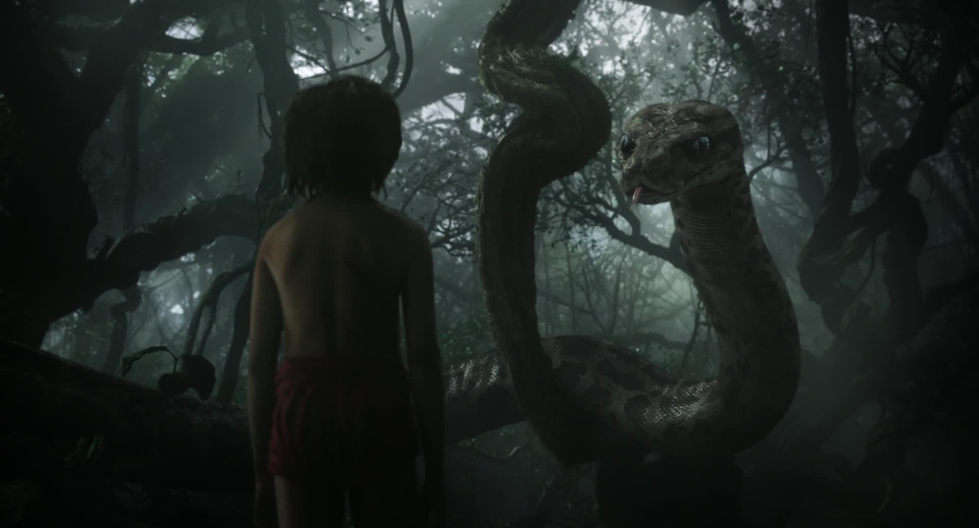 The Jungle Book - Jon Favreau