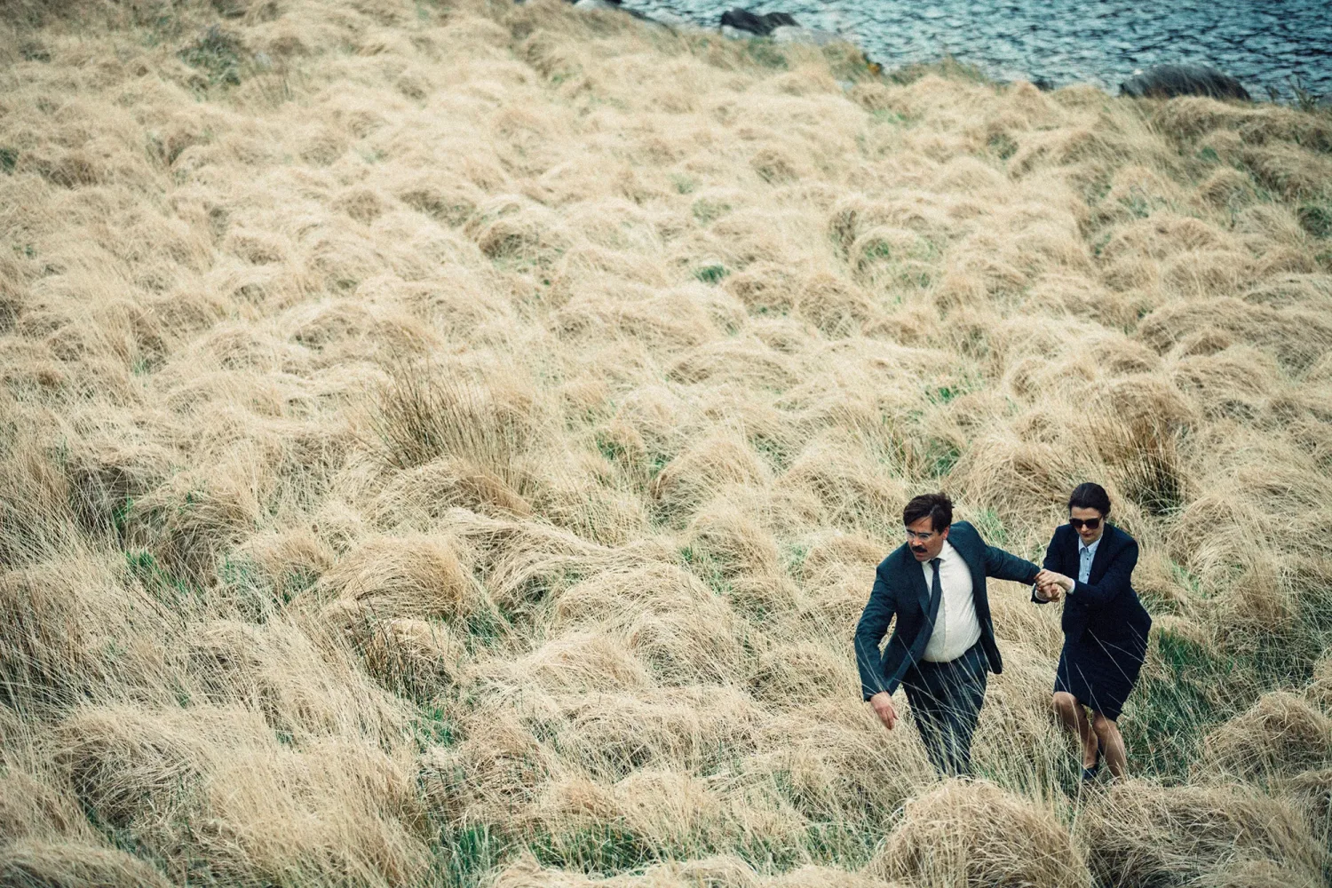 The Lobster - Yorgos Lanthimos