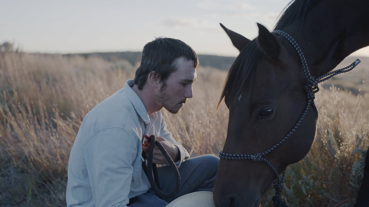 The Rider - Chloé Zhao