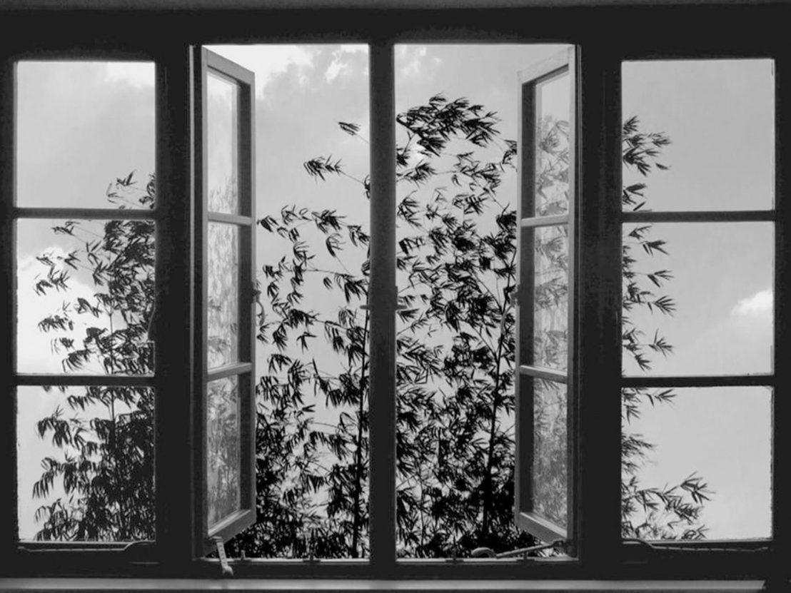 24 Frames - Abbas Kiarostami