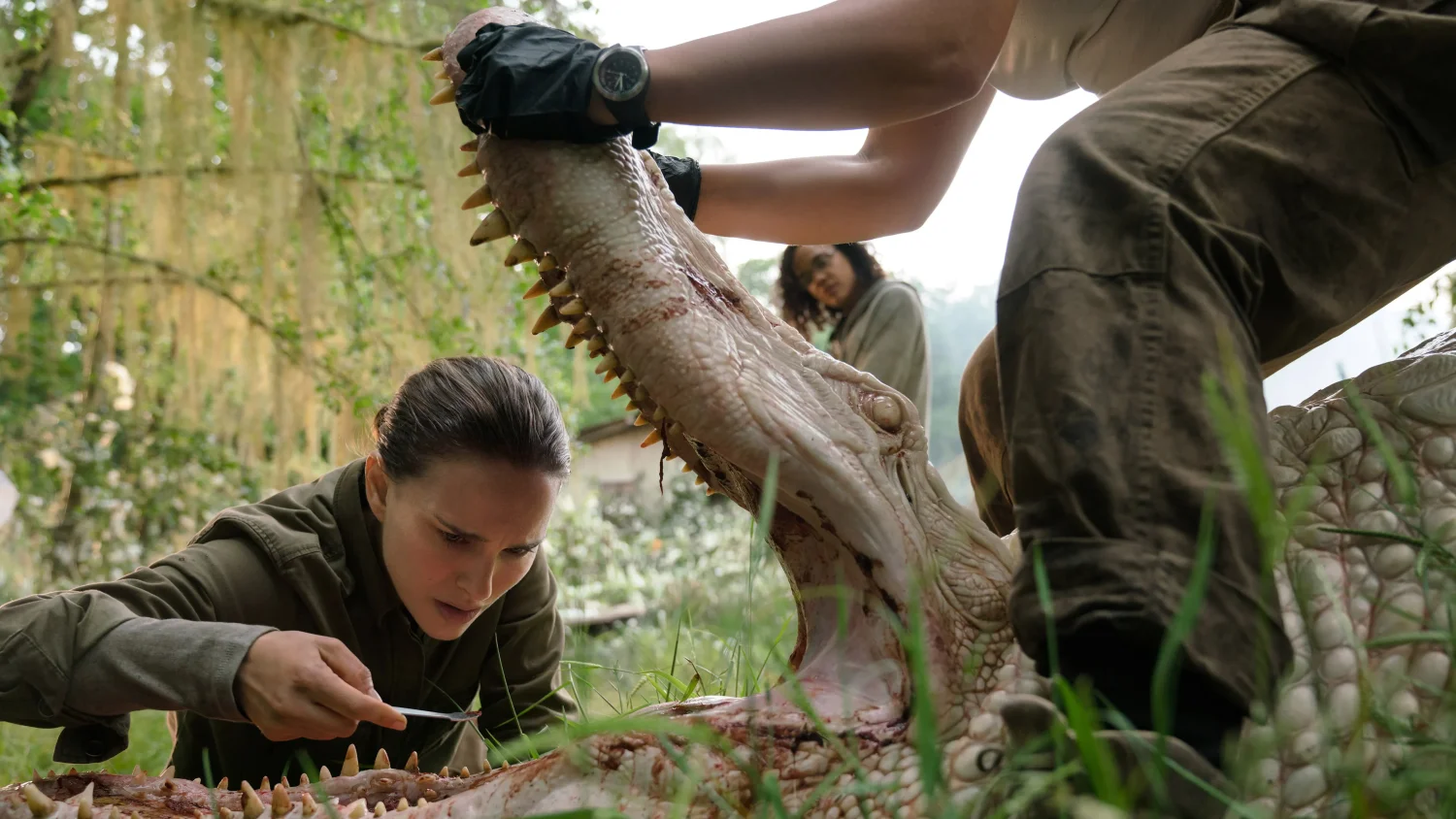 Annihilation - Alex Garland