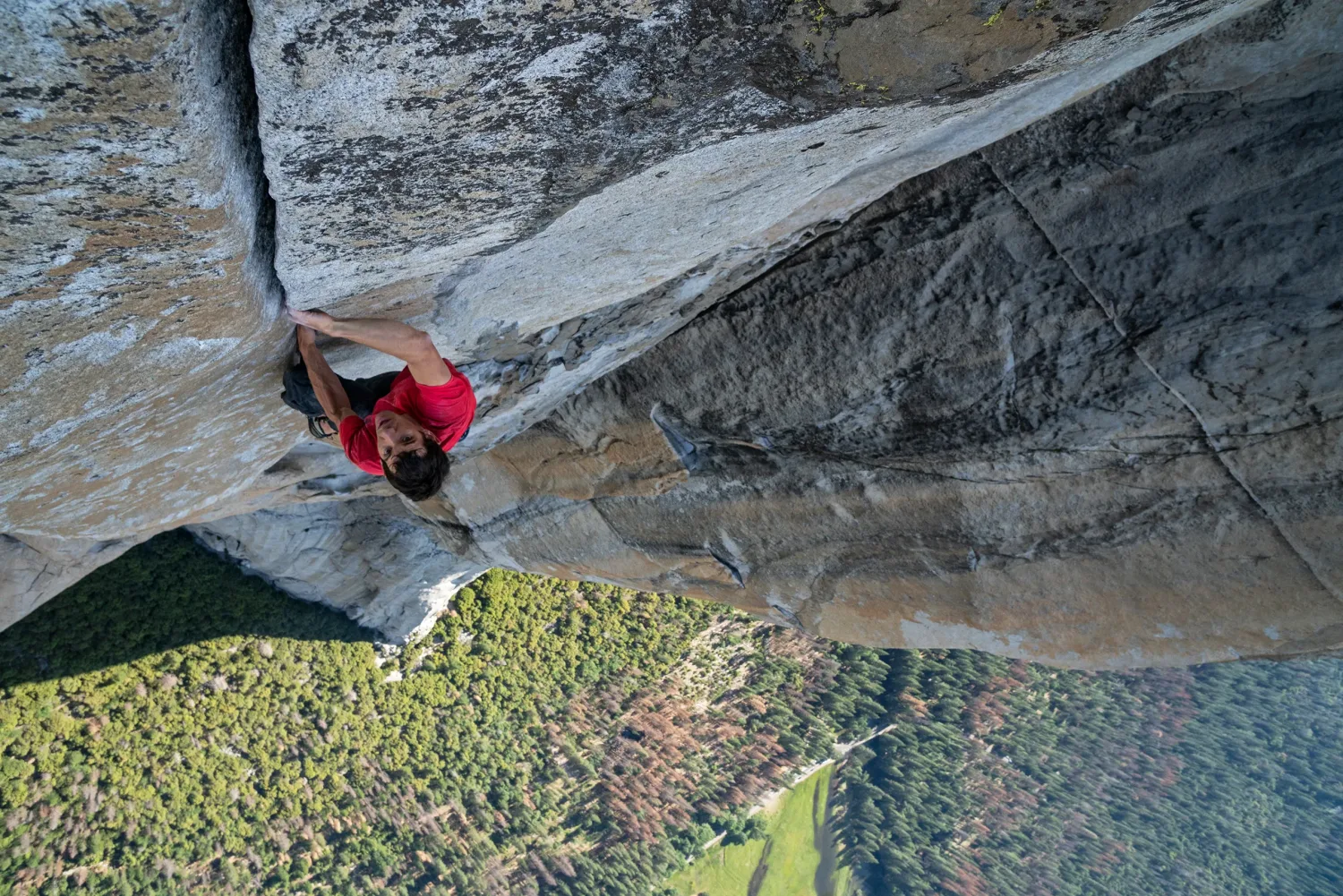 Free Solo - Elizabeth Chai Vasarhelyi and Jimmy Chin