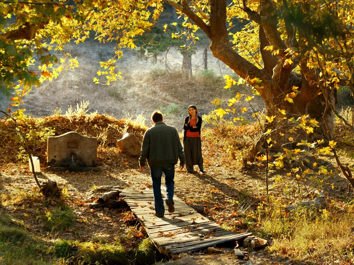 The Wild Pear Tree - Nuri Bilge Ceylan