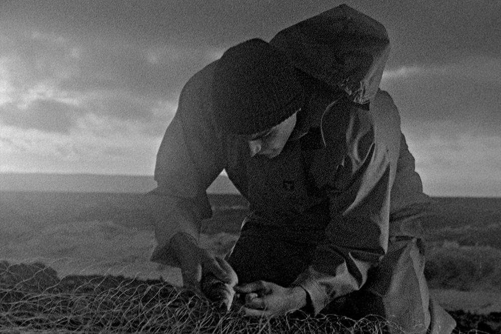 Bait - Mark Jenkin