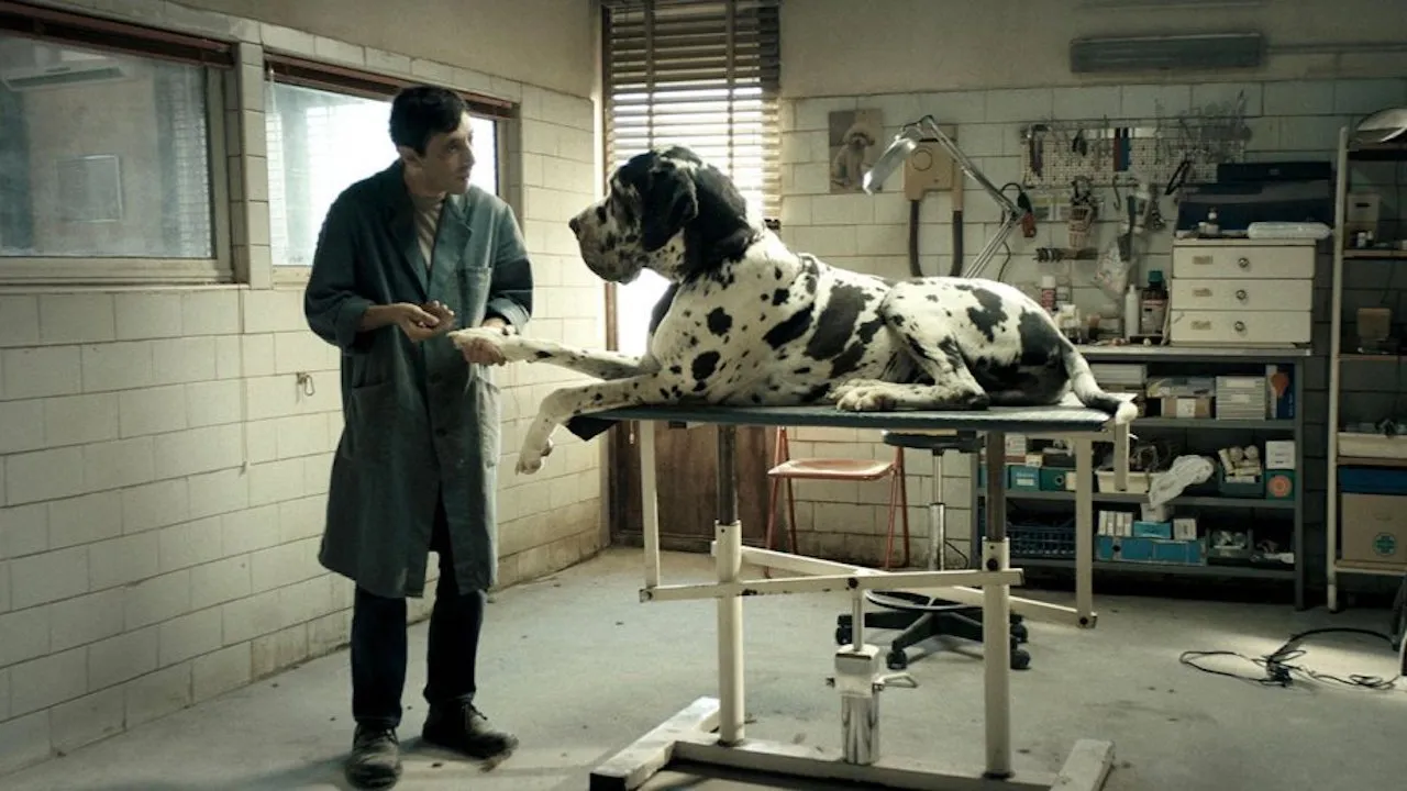 Dogman - Matteo Garrone
