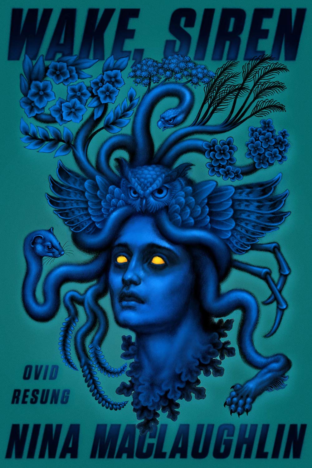 Wake, Siren - Nina MacLaughlin