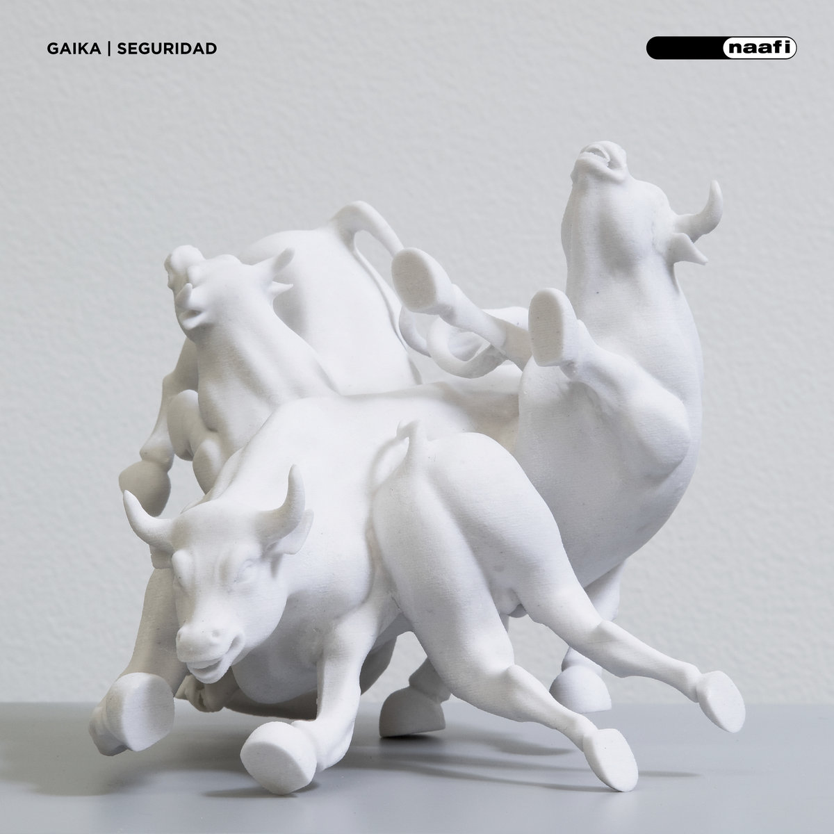 Seguridad - Gaika