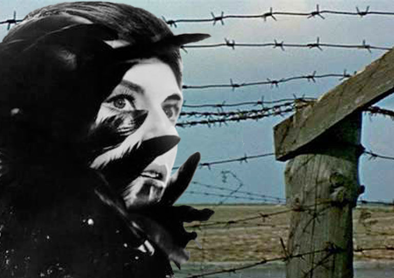 Last Year in Dachau - Mark Rappaport