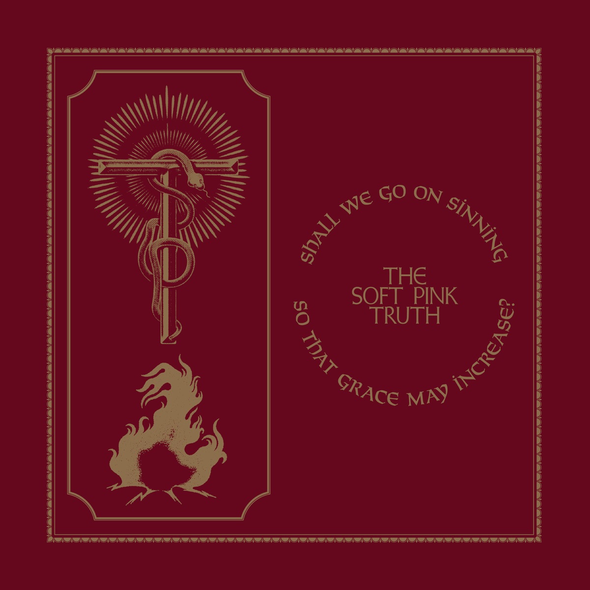 Shall We Go On Sinning So That Grace May Increase? - The Soft Pink Truth