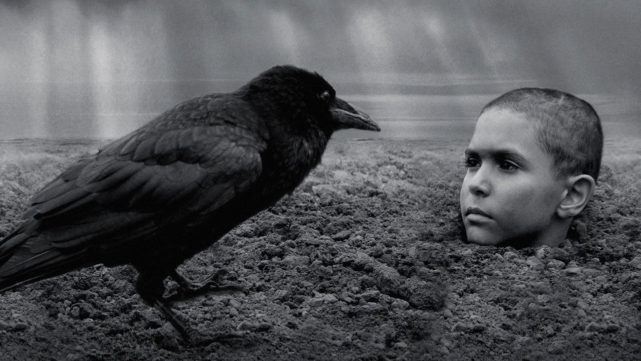 The Painted Bird - Václav Marhoul