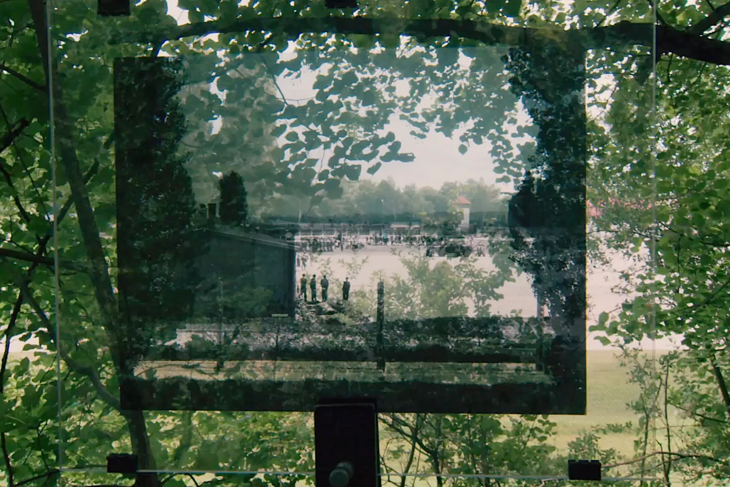 From Where They Stood - Christophe Cognet