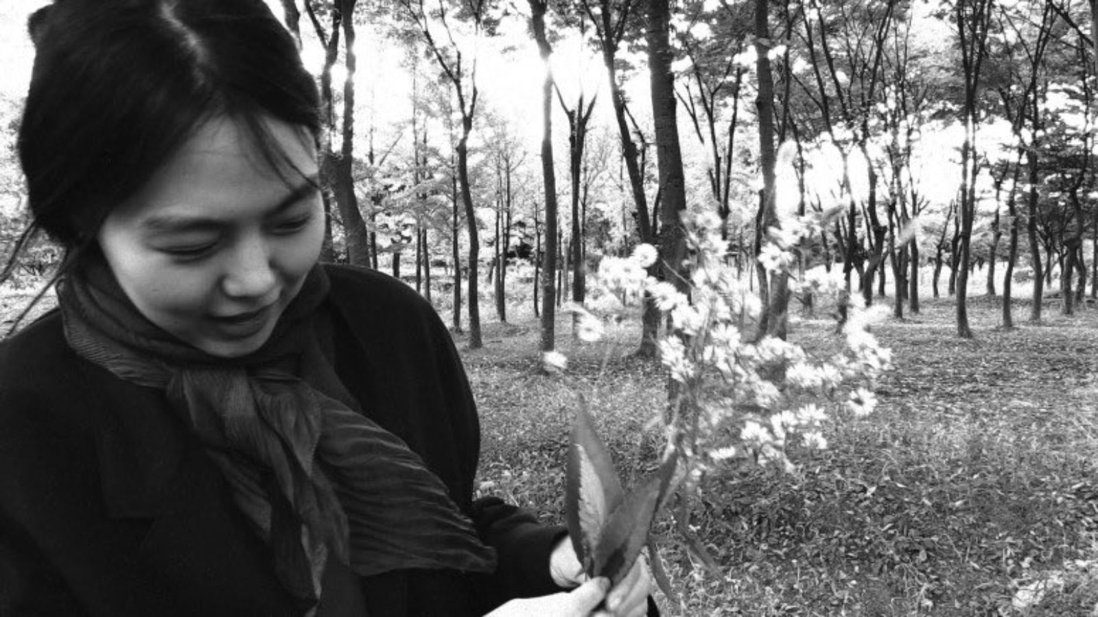 The Novelist's Film - Hong Sang-soo