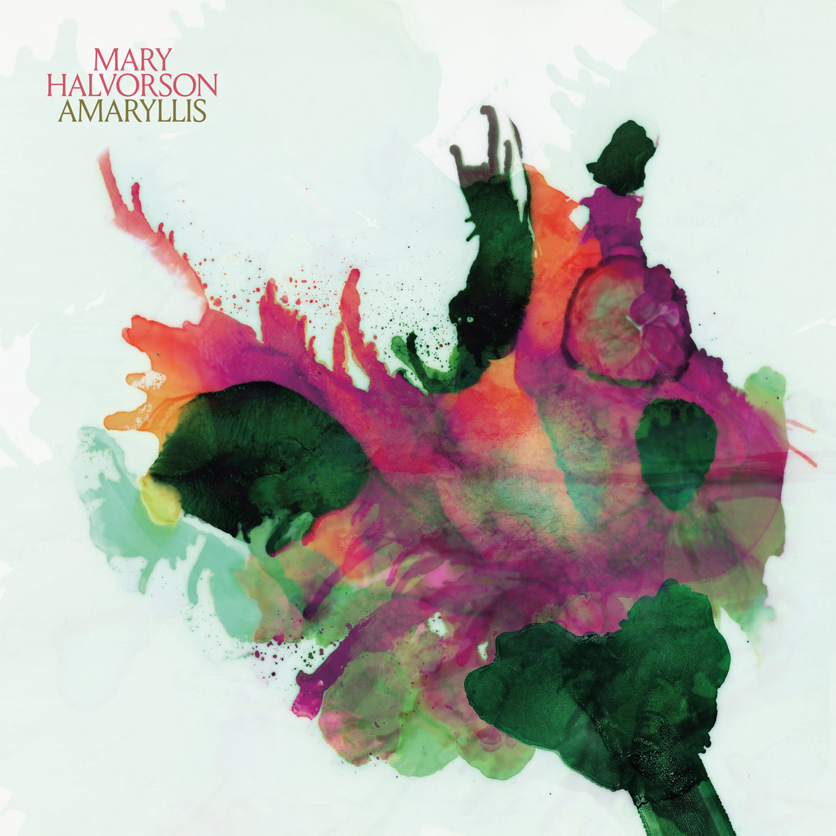 Amaryllis - Mary Halvorson