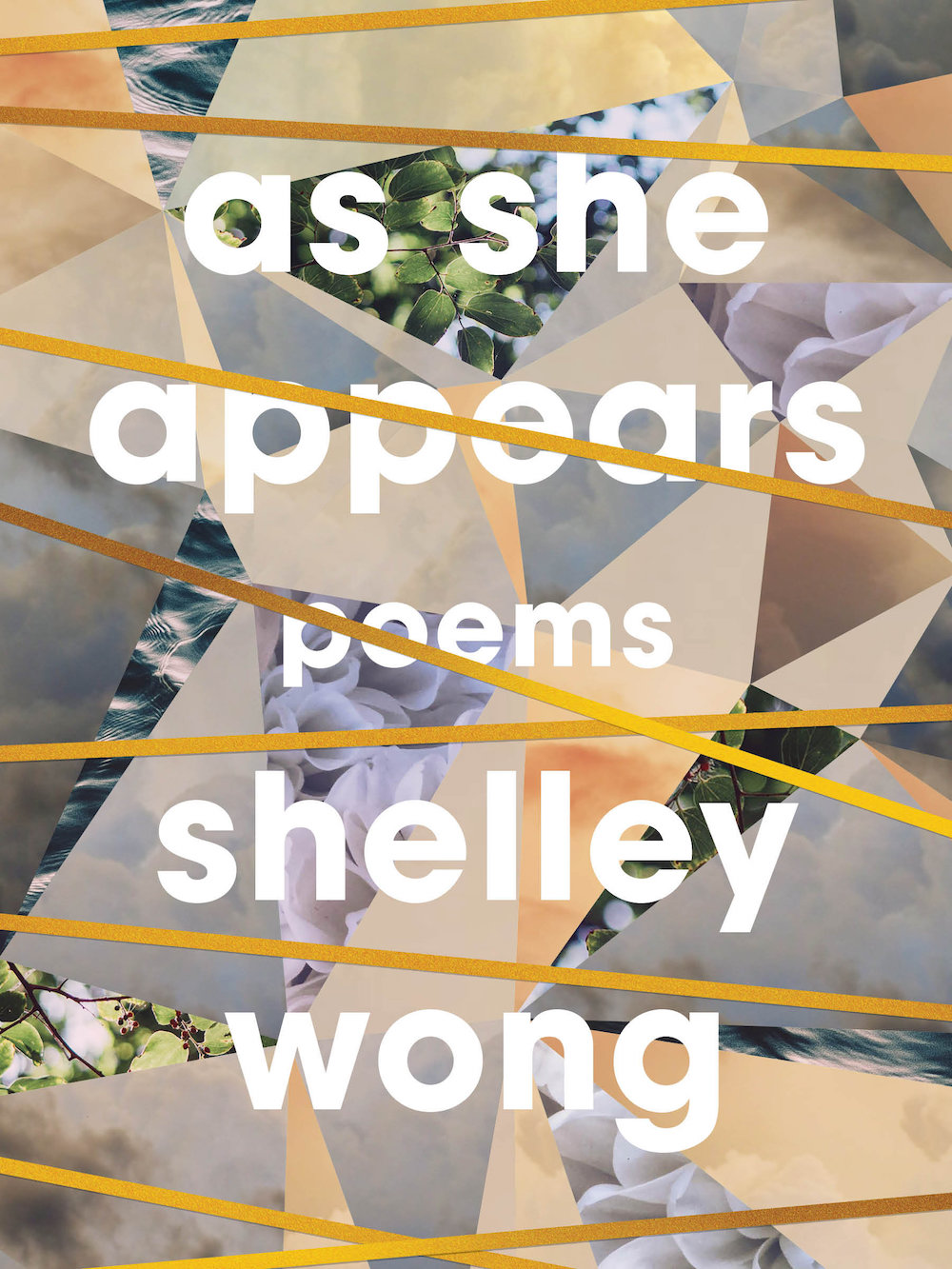 As She Appears - Shelley Wong