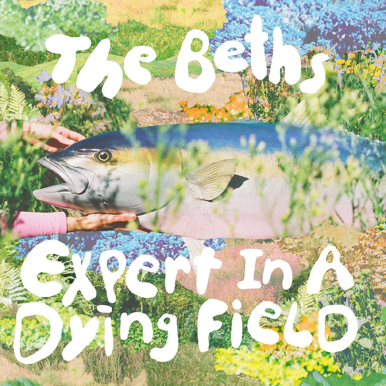 Expert in a Dying Field - The Beths