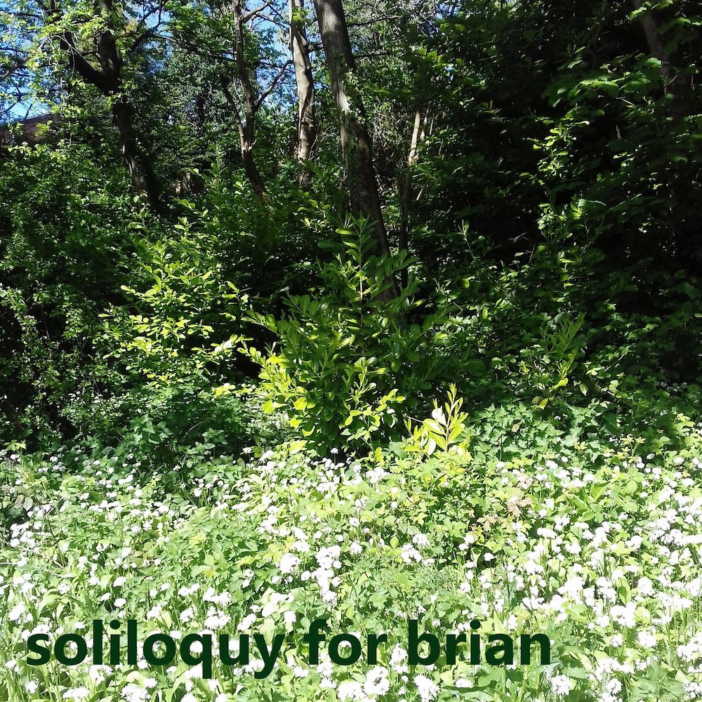 soliloquy for brian - caroline mckenzie