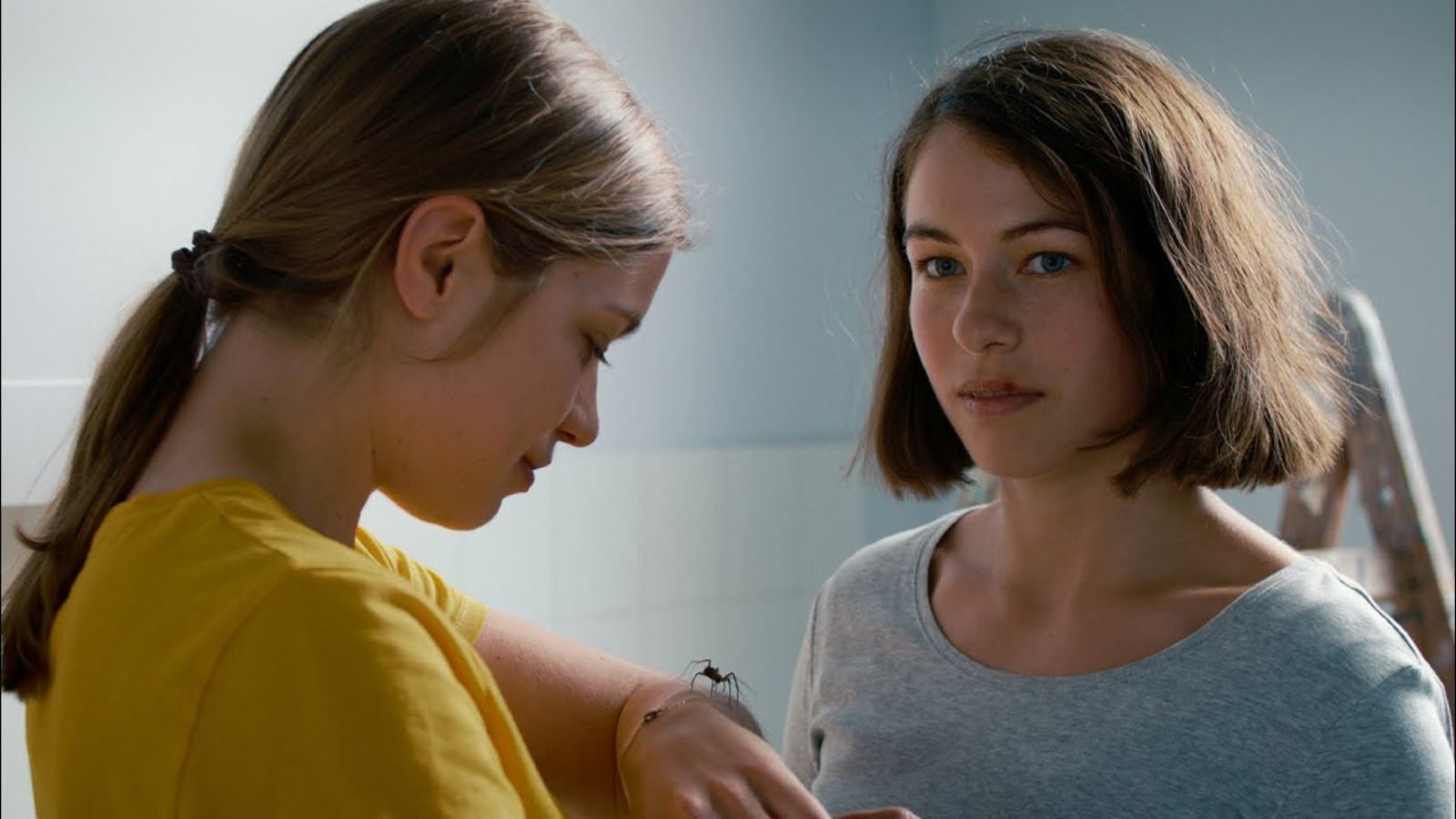 The Girl and the Spider - Ramon Zürcher and Silvan Zürcher