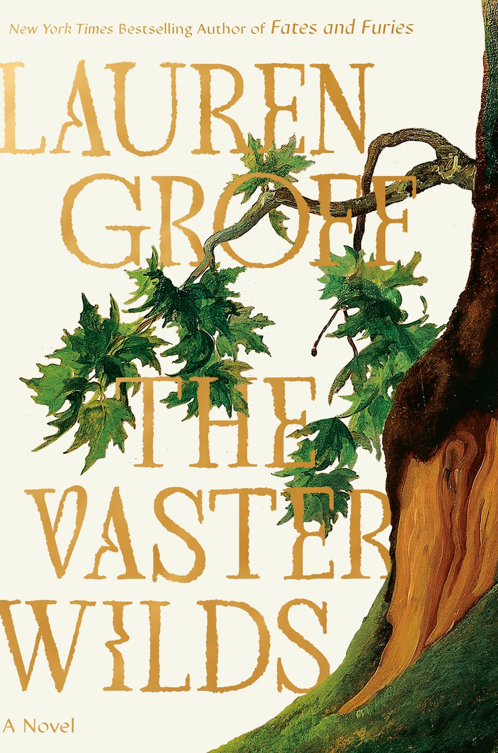 The Vaster Wilds - Lauren Groff