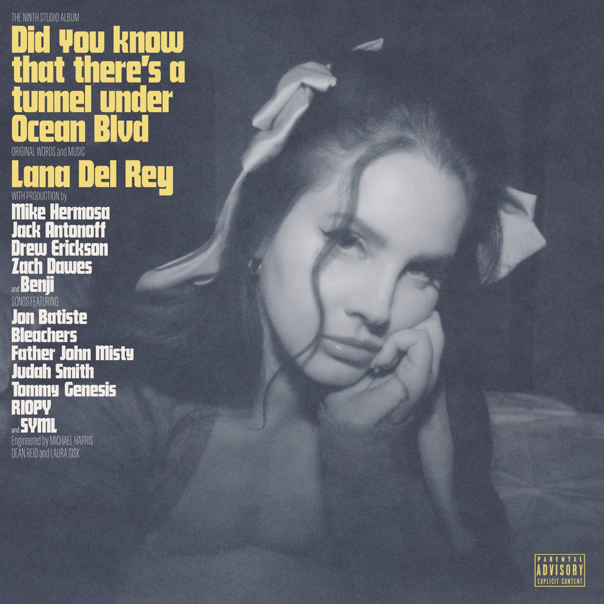 Did You Know That There's a Tunnel Under Ocean Blvd - Lana Del Rey