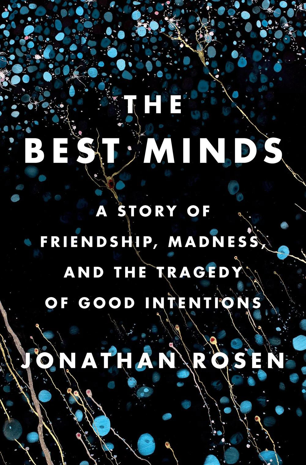 The Best Minds - Jonathan Rosen