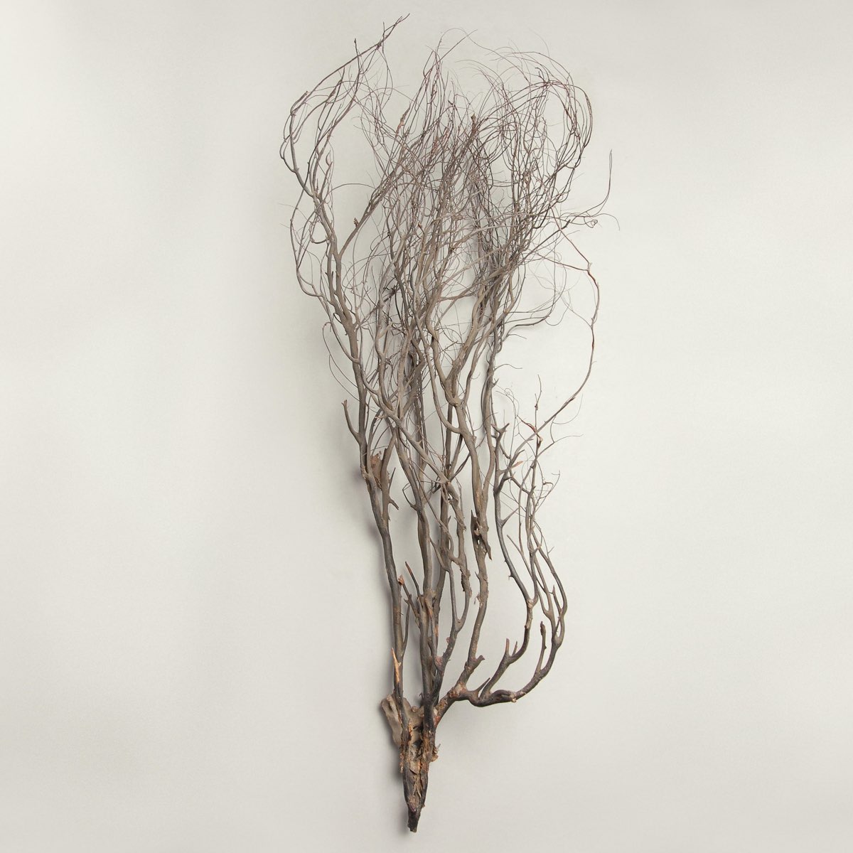 Woodwind Multiples - Mary Jane Leach