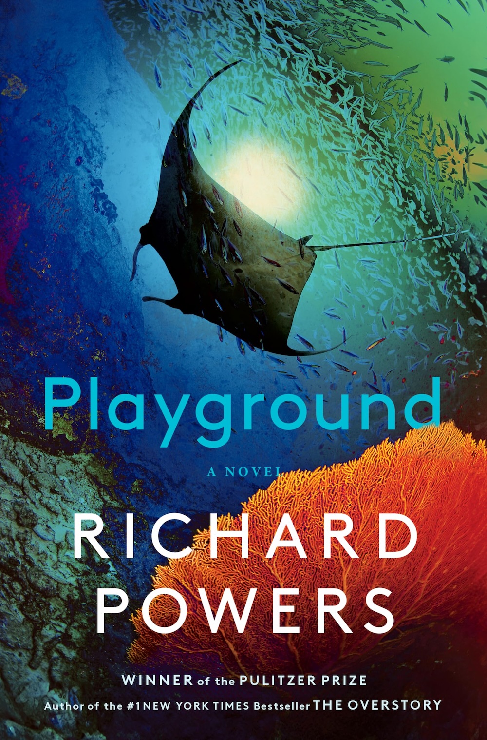Playground - Richard Powers