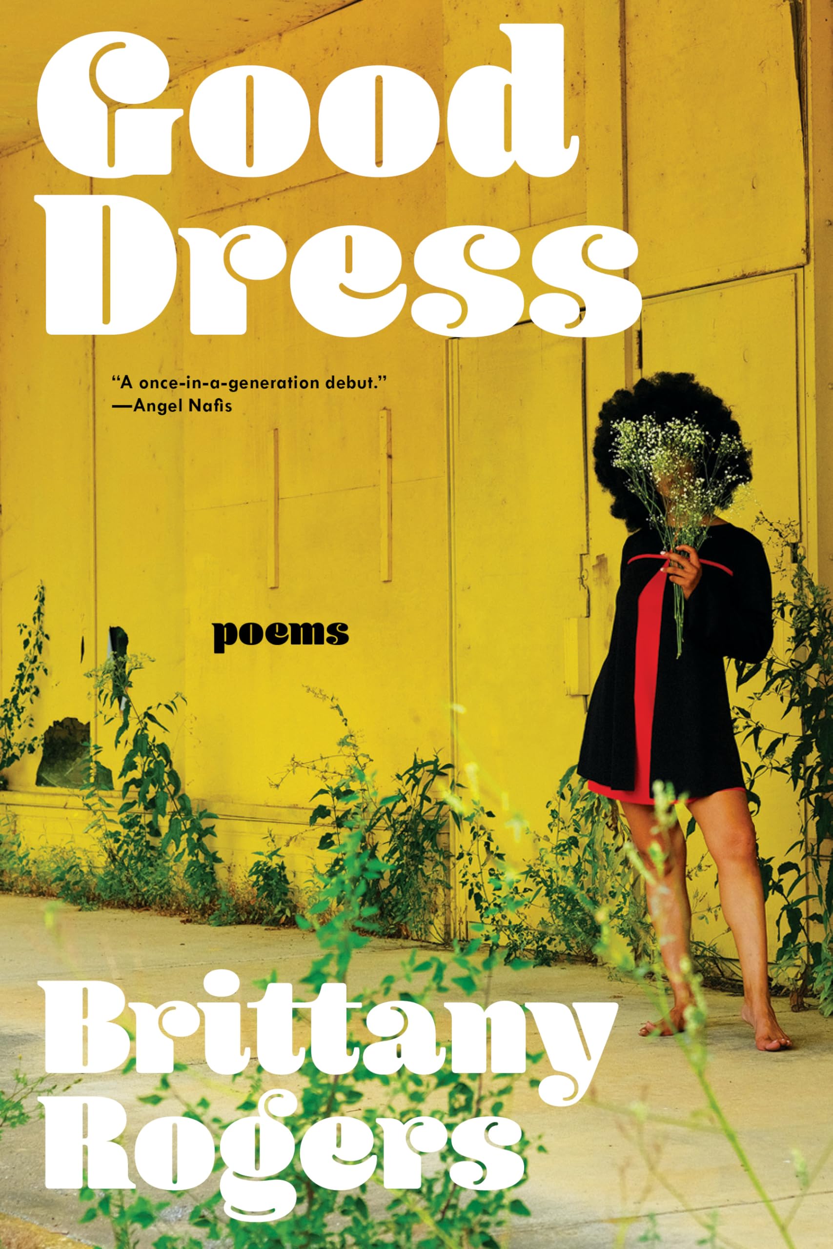 Good Dress - Brittany Rogers