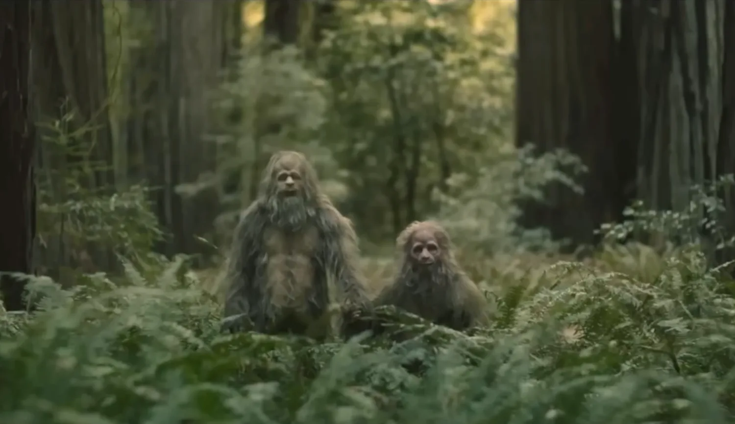 Sasquatch Sunset - David Zellner and Nathan Zellner