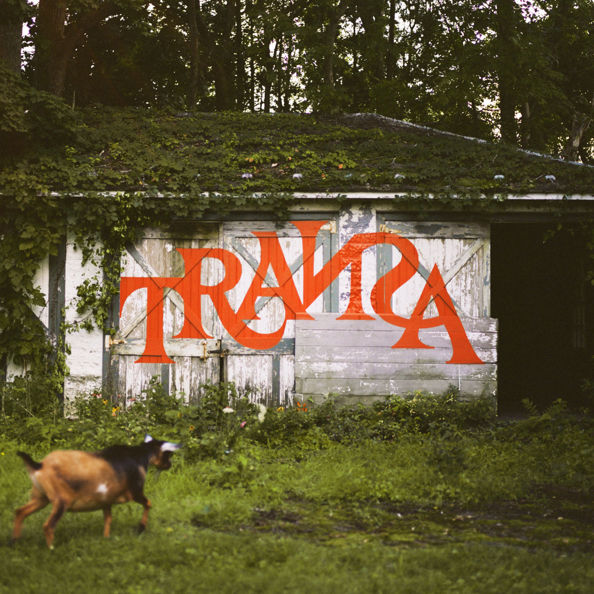 Transa - various artists