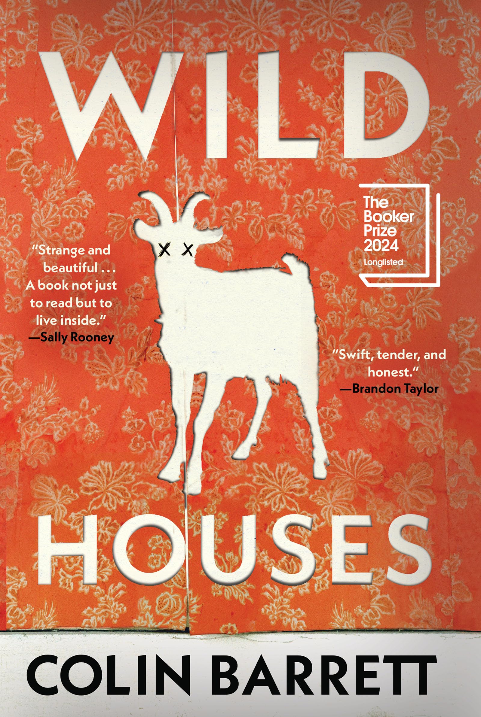 Wild Houses - Colin Barrett