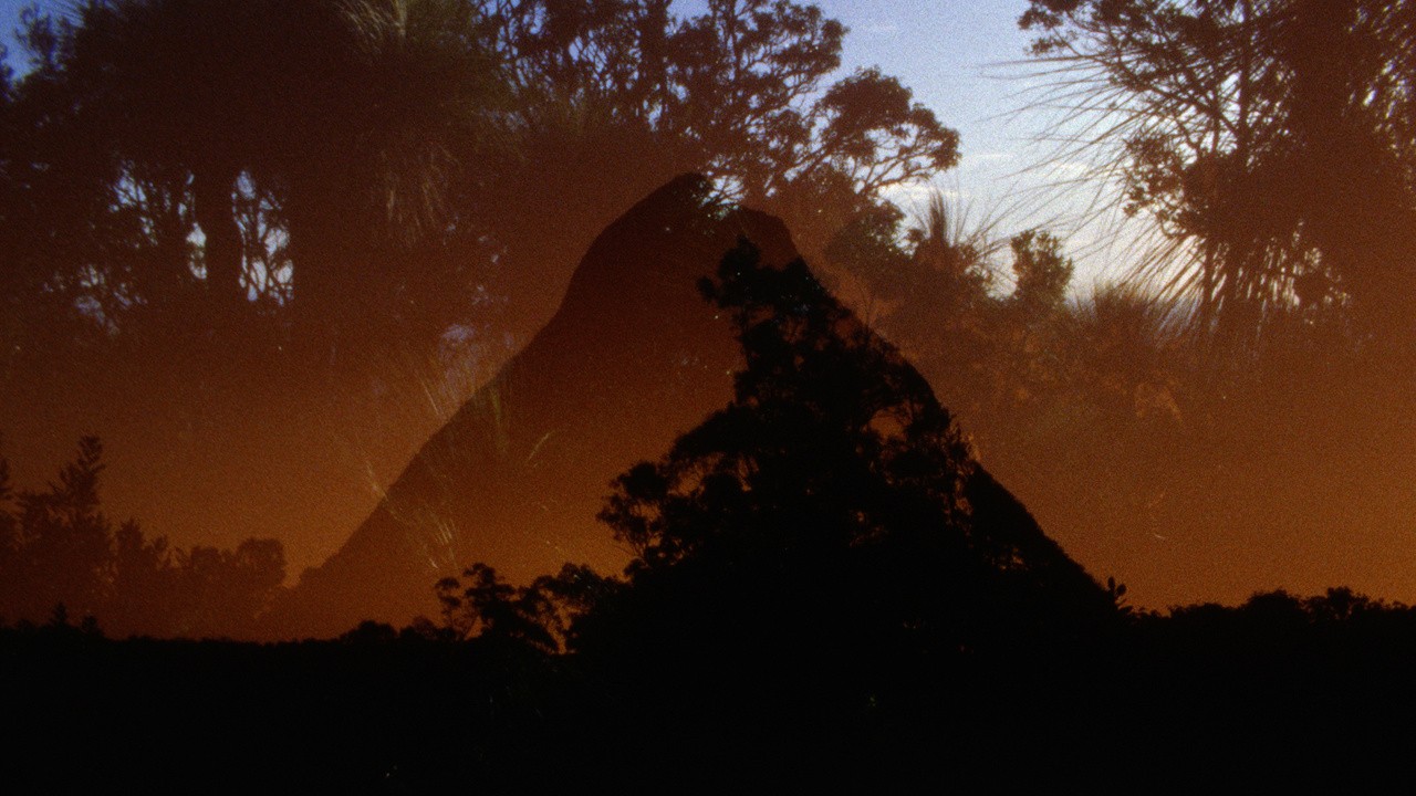 Archipelago of Earthen Bones — To Bunya - Malena Szlam