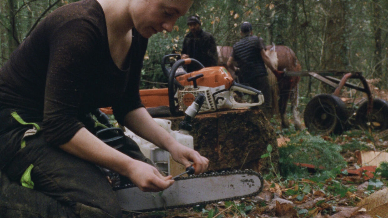 Direct Action - Guillaume Cailleau and Ben Russell