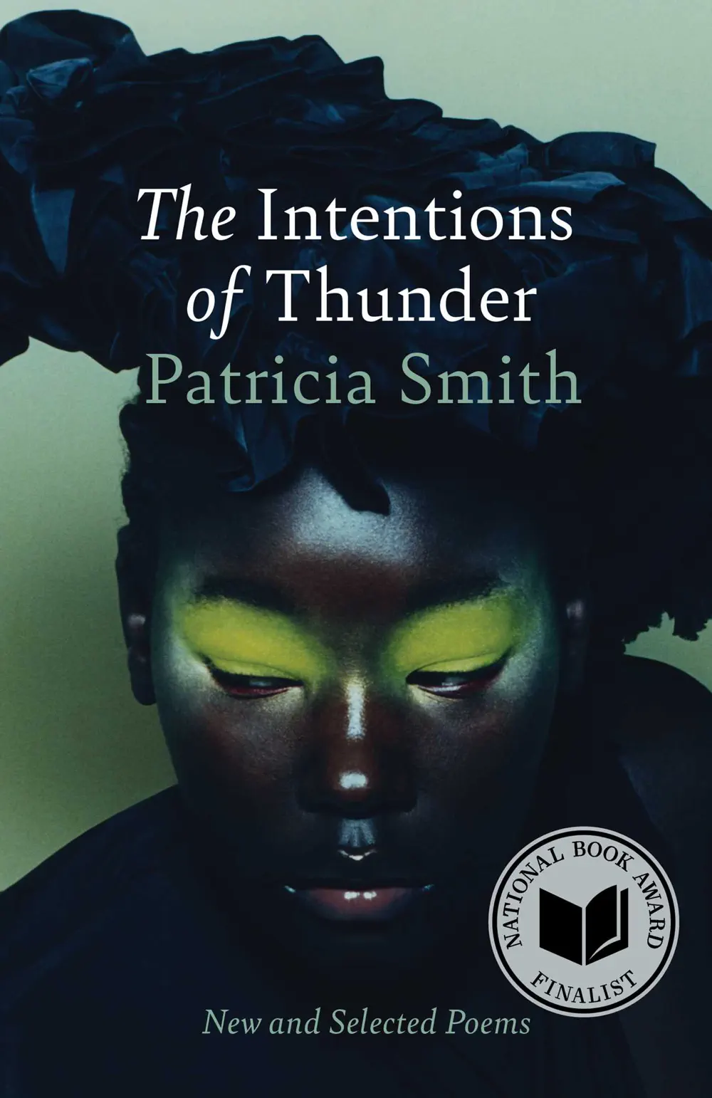 The Intentions of Thunder - Patricia Smith