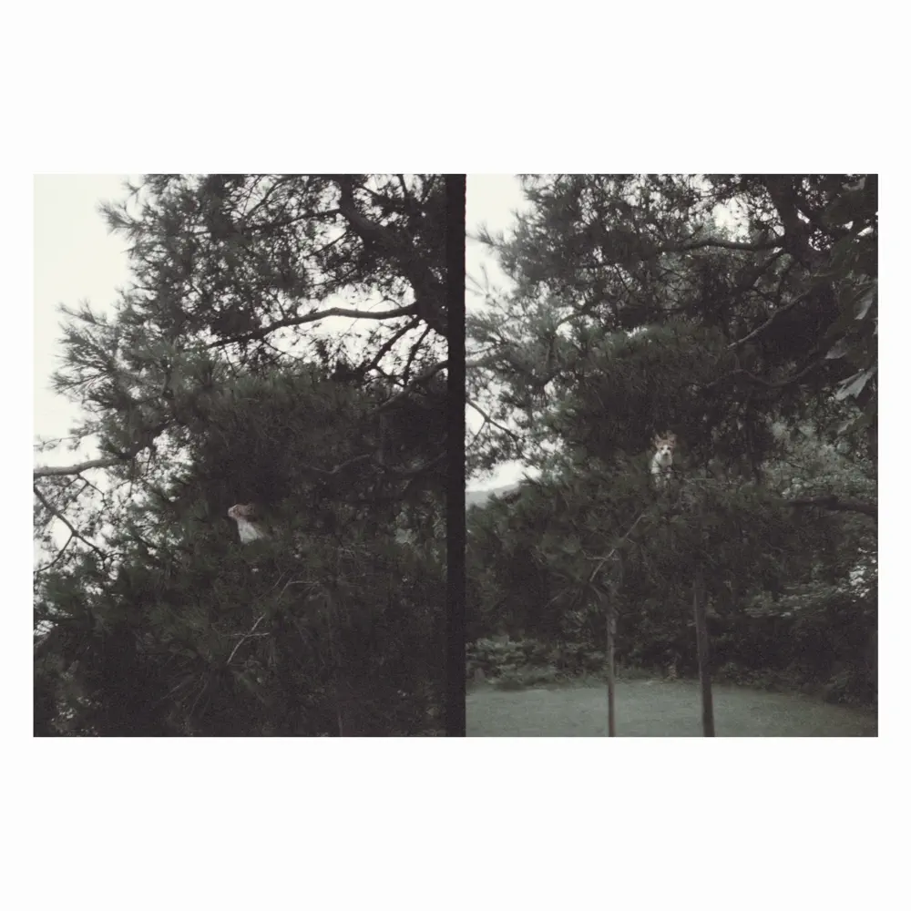 just like any other day (어느날) : background music for your mundane activities - Okkyung Lee