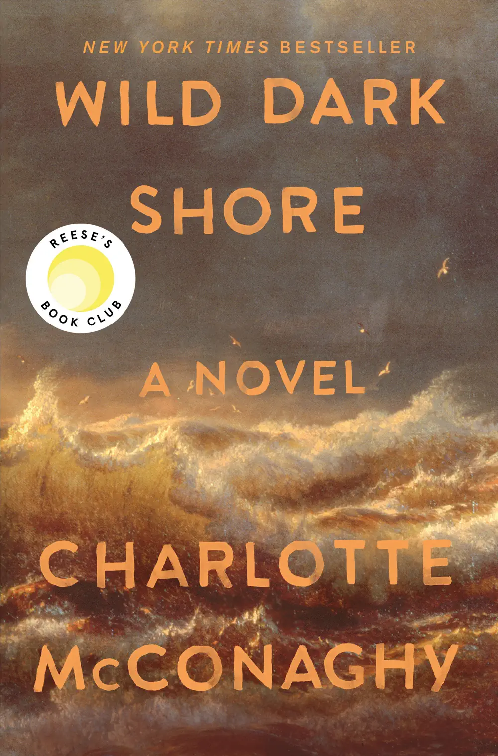 Wild Dark Shore - Charlotte McConaghy