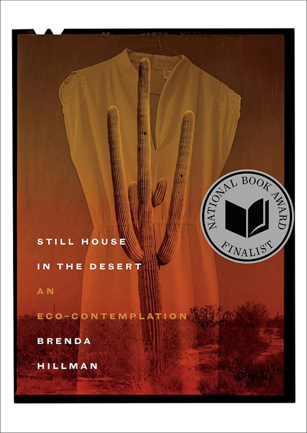 Still House in the Desert - Brenda Hillman
